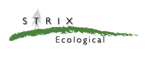 STRIX Environmentla Conculting Ltd. Logo