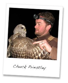 Chuck Priestley holding a Barred Owl (Strix varia)